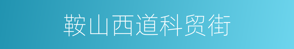 鞍山西道科贸街的同义词