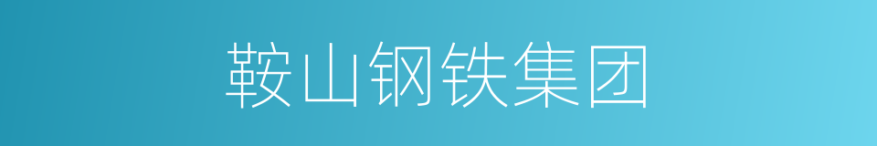 鞍山钢铁集团的同义词