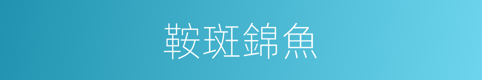 鞍斑錦魚的同義詞