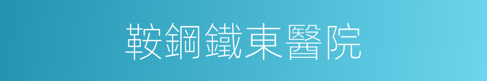 鞍鋼鐵東醫院的同義詞