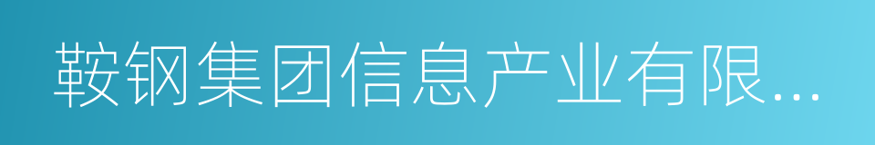 鞍钢集团信息产业有限公司的同义词