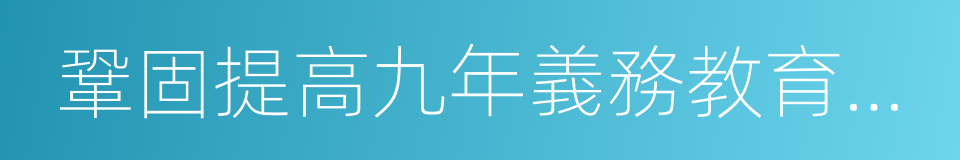 鞏固提高九年義務教育水平的同義詞