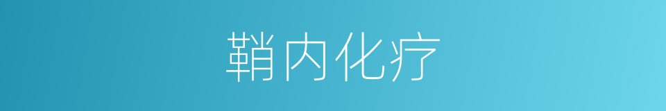 鞘内化疗的同义词