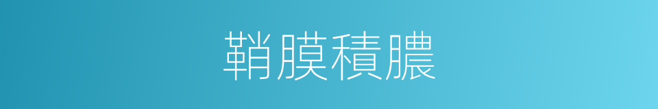 鞘膜積膿的同義詞