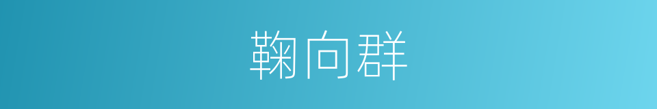 鞠向群的同义词
