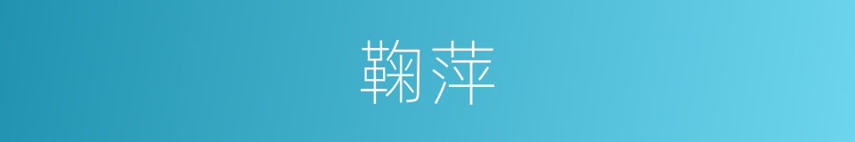 鞠萍的同义词