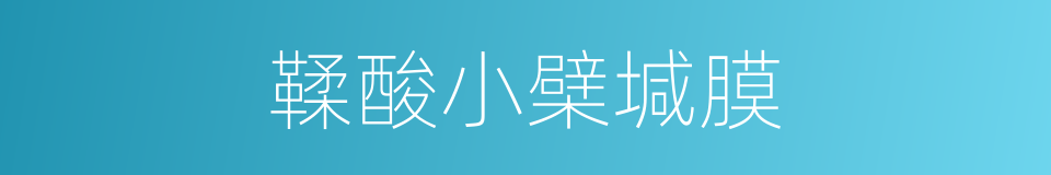 鞣酸小檗堿膜的同義詞