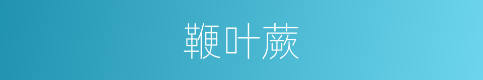 鞭叶蕨的同义词
