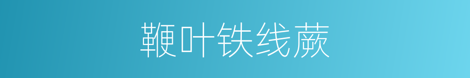 鞭叶铁线蕨的同义词