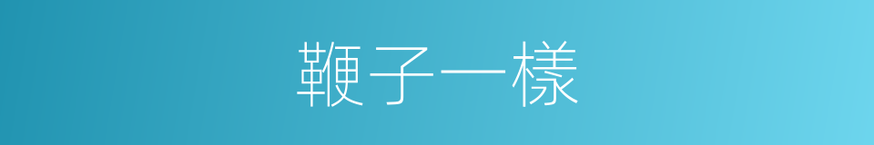 鞭子一樣的同義詞