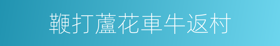 鞭打蘆花車牛返村的同義詞