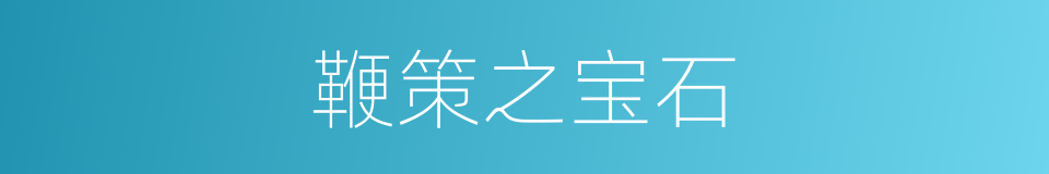 鞭策之宝石的同义词