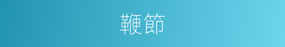 鞭節的意思