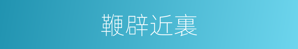 鞭辟近裏的意思