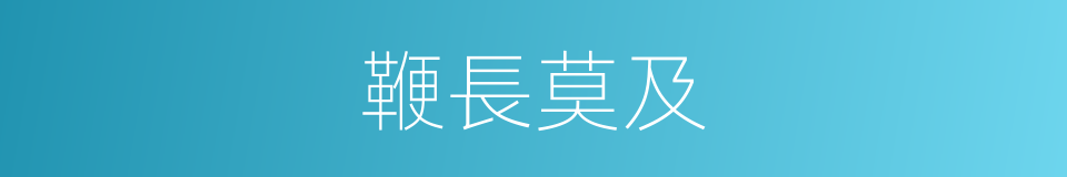 鞭長莫及的意思