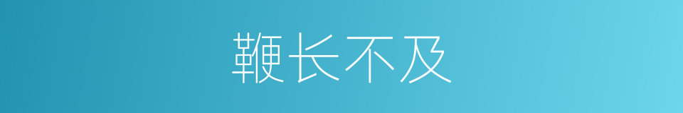 鞭长不及的意思