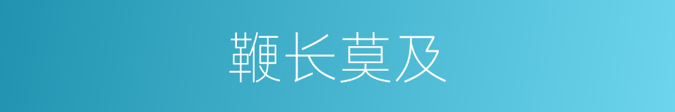 鞭长莫及的意思
