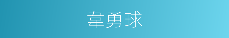 韋勇球的同義詞