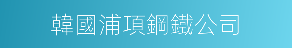 韓國浦項鋼鐵公司的同義詞