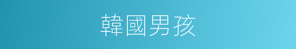 韓國男孩的同義詞