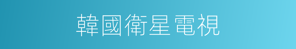 韓國衛星電視的同義詞