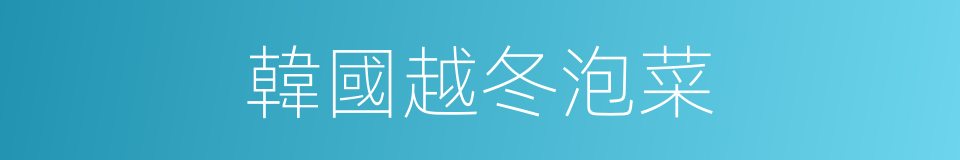 韓國越冬泡菜的同義詞