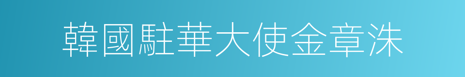 韓國駐華大使金章洙的同義詞