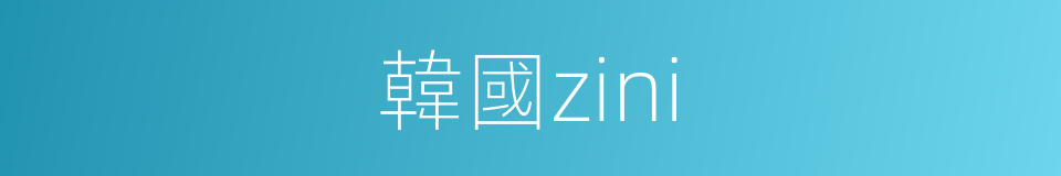 韓國zini的同義詞