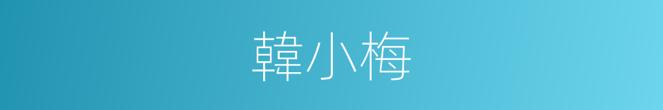 韓小梅的同義詞