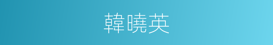 韓曉英的同義詞