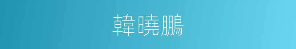 韓曉鵬的同義詞