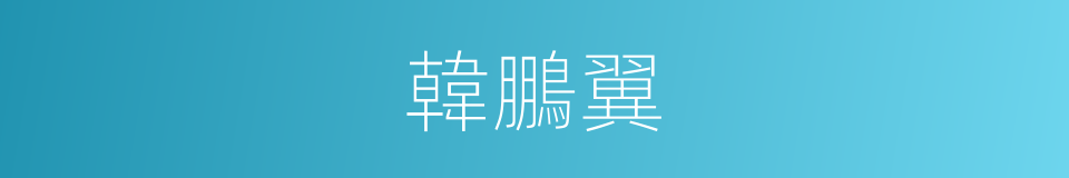 韓鵬翼的同義詞