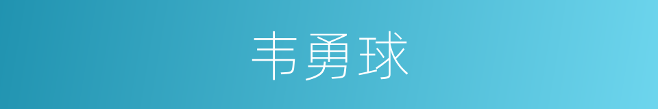 韦勇球的意思