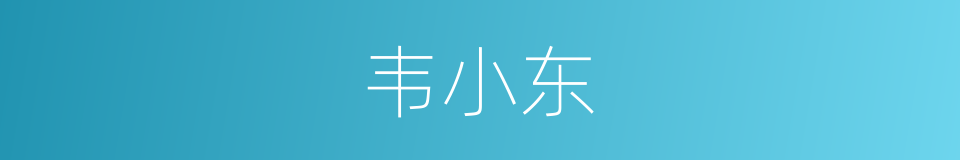韦小东的同义词