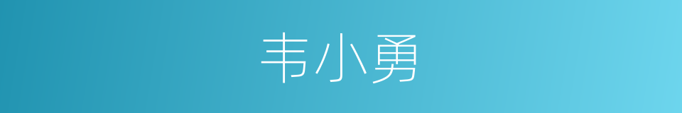 韦小勇的同义词