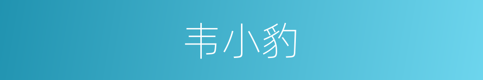 韦小豹的同义词