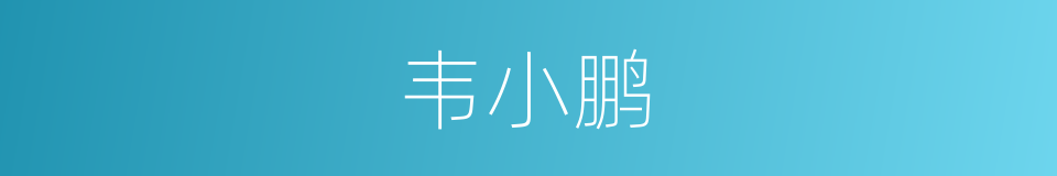 韦小鹏的同义词