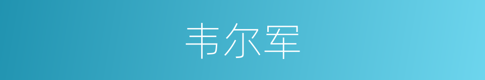 韦尔军的同义词