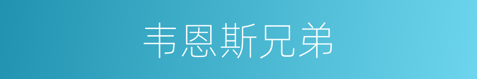 韦恩斯兄弟的同义词