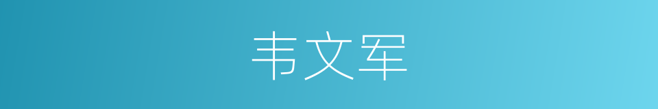 韦文军的同义词