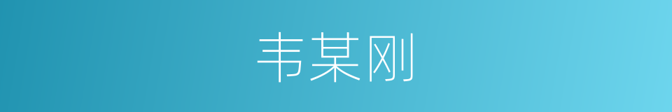 韦某刚的同义词