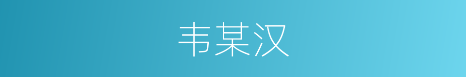 韦某汉的同义词