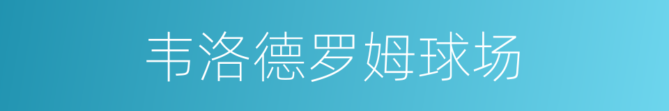 韦洛德罗姆球场的同义词