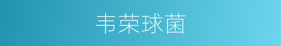 韦荣球菌的同义词