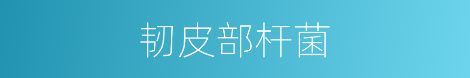 韧皮部杆菌的同义词