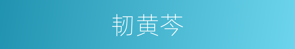 韧黄芩的同义词