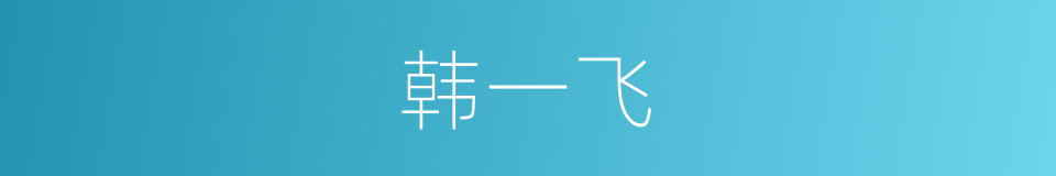 韩一飞的同义词