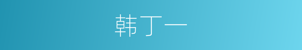 韩丁一的同义词