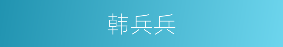 韩兵兵的同义词