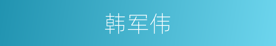 韩军伟的同义词